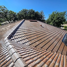 Wesley-chapel-Florida-roof-cleaning 13