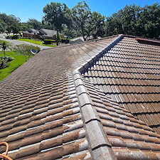 Wesley-chapel-Florida-roof-cleaning 12