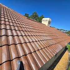Wesley-chapel-Florida-roof-cleaning 8