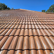 Wesley-chapel-Florida-roof-cleaning 7