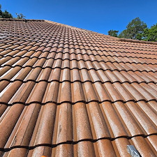 Wesley-chapel-Florida-roof-cleaning 6
