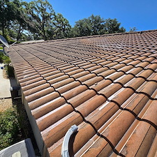 Wesley-chapel-Florida-roof-cleaning 5
